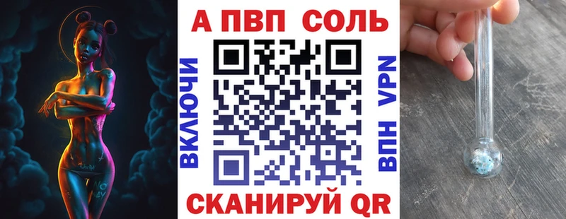 A PVP СК  Анжеро-Судженск 