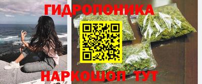 ПСИЛОЦИБИНОВЫЕ ГРИБЫ Абакан