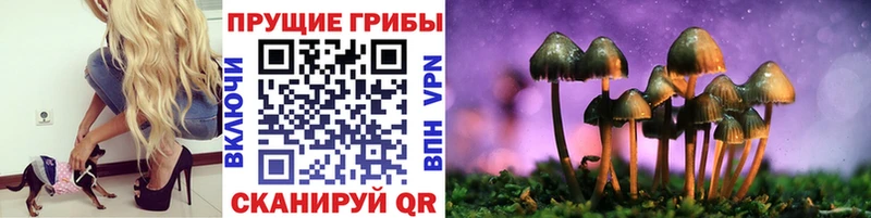 даркнет сайт  Анжеро-Судженск  Галлюциногенные грибы GOLDEN TEACHER 