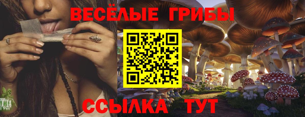 Галлюциногенные грибы GOLDEN TEACHER Анжеро-Судженск