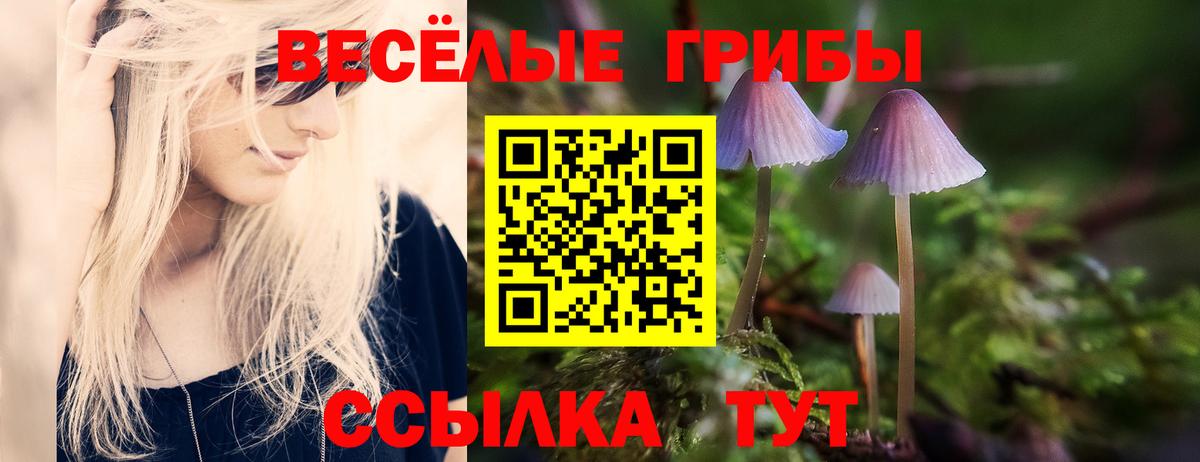 Псилоцибиновые грибы MAGIC MUSHROOMS  Галлюциногенные грибы Psilocybe  Вход с VPN  Анжеро-Судженск 
