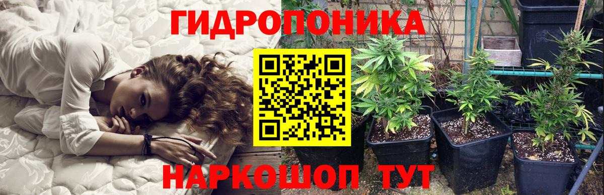 Бошки марихуана планчик  МАРИХУАНА семена  Анжеро-Судженск  Вход с VPN  Бошки Шишки Ganja 